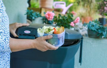 VAD KAN OCH KAN INTE KOMPOSTERAS?